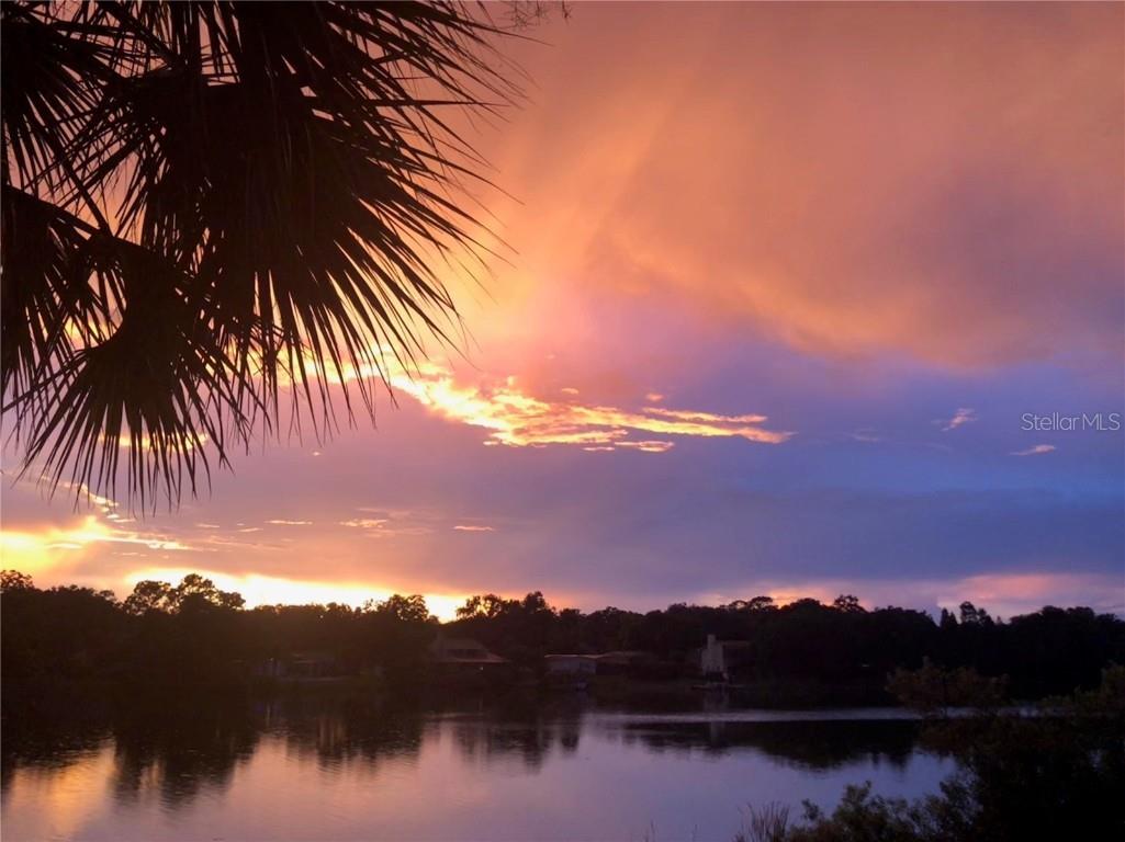 1920 E Edgewood Drive #R8 Lakeland FL 33803 L4954897 image19