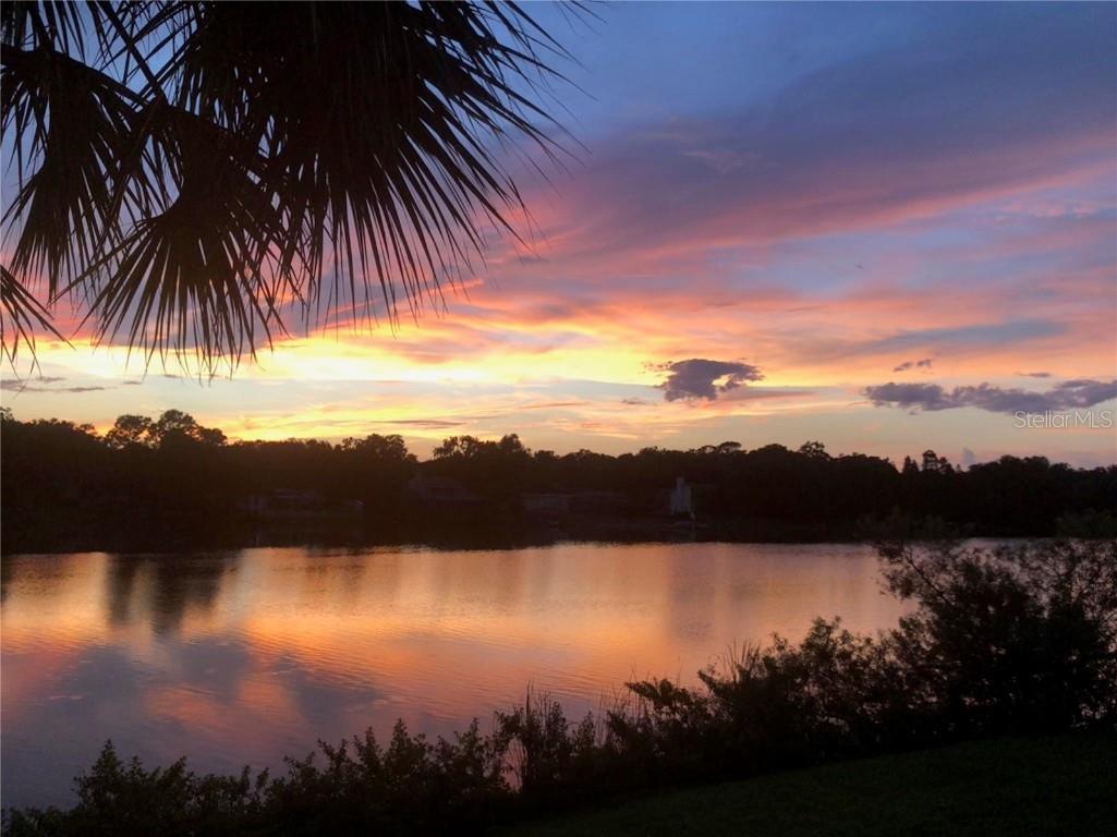 1920 E Edgewood Drive #R8 Lakeland FL 33803 L4954897 image20