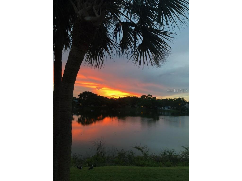 1920 E Edgewood Drive #R8 Lakeland FL 33803 L4954897 image21