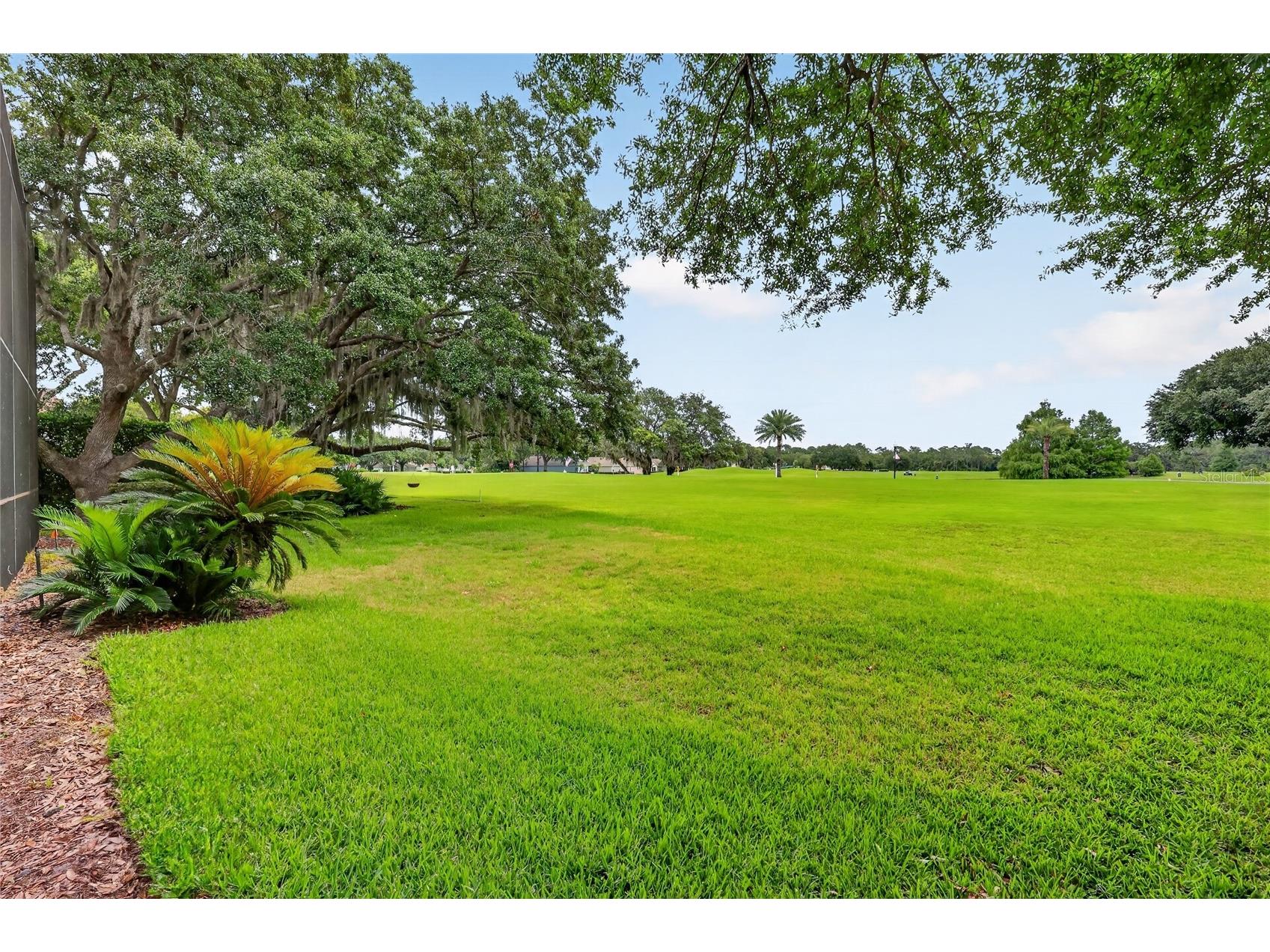 1920 Edgewater Drive Mount Dora FL 32757 G5113449 image57