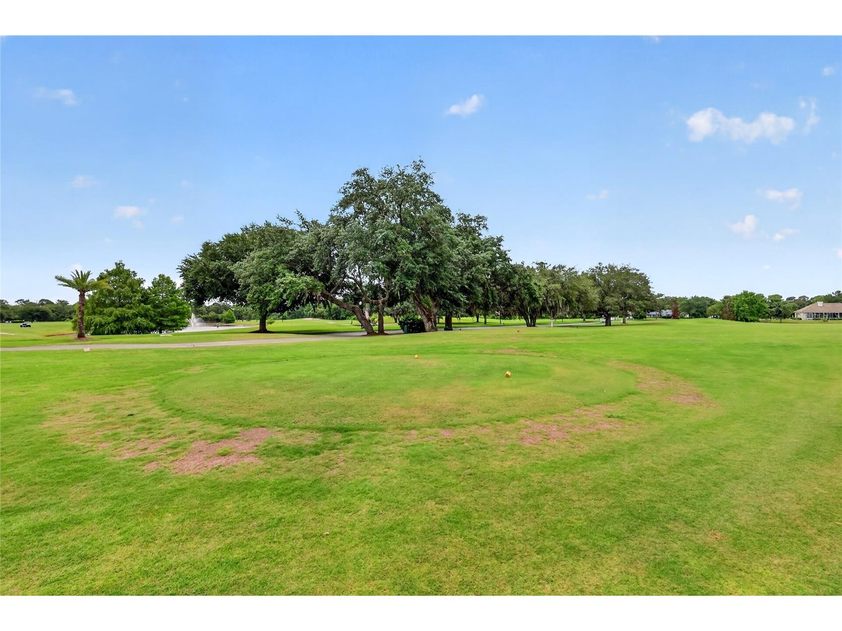 1920 Edgewater Drive Mount Dora FL 32757 G5113449 image58