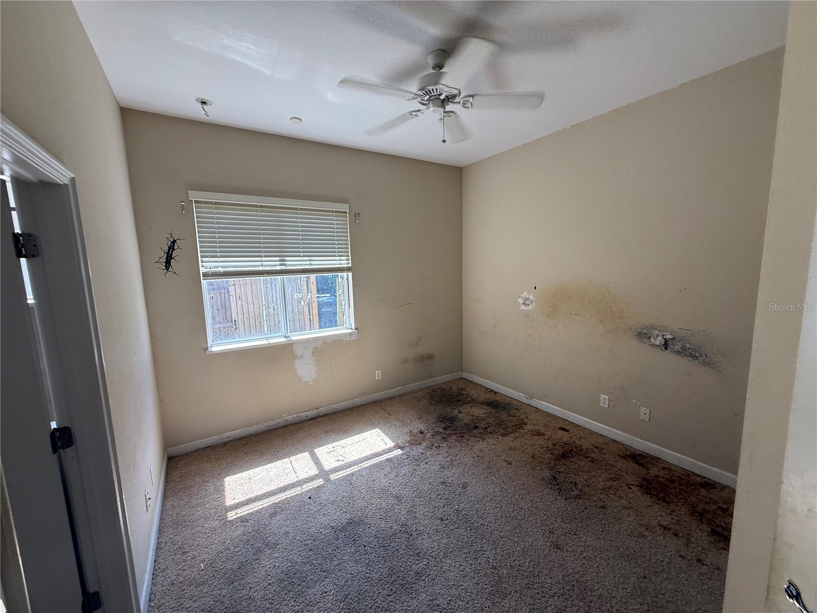 1920 Eloise Cove Drive Winter Haven FL 33884 TB8529430 image15