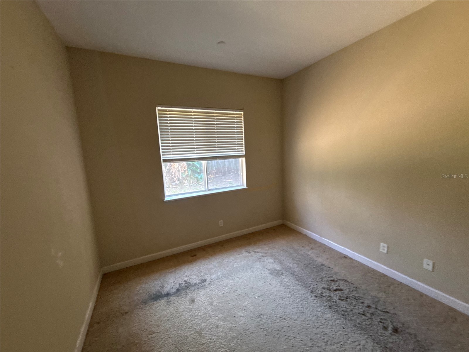 1920 Eloise Cove Drive Winter Haven FL 33884 TB8529430 image19