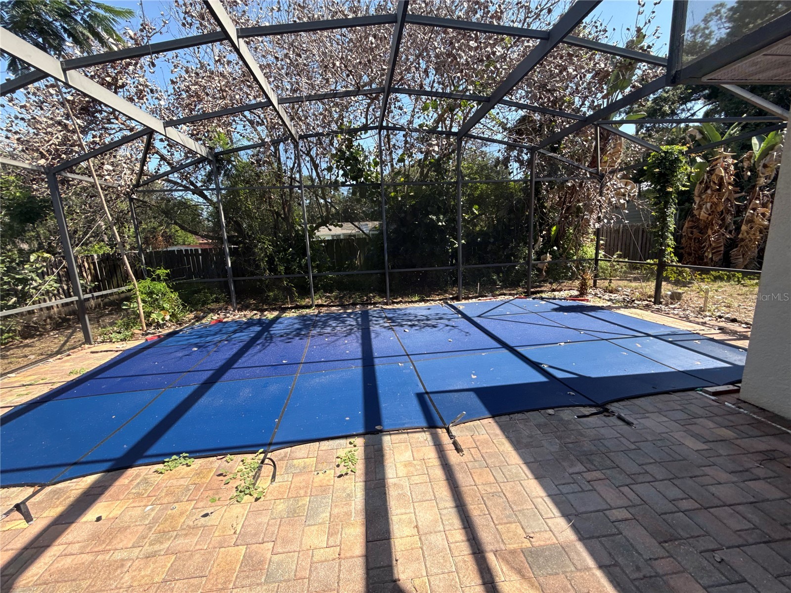 1920 Eloise Cove Drive Winter Haven FL 33884 TB8529430 image23