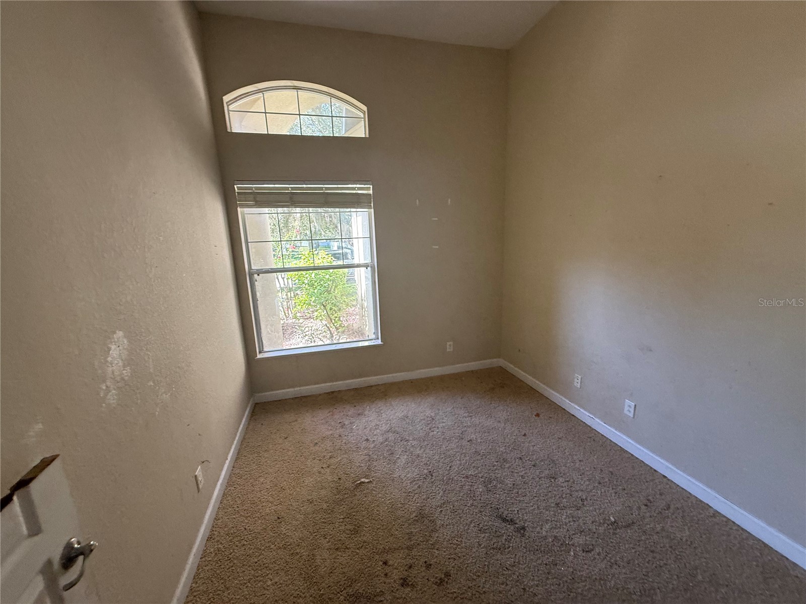 1920 Eloise Cove Drive Winter Haven FL 33884 TB8529430 image5
