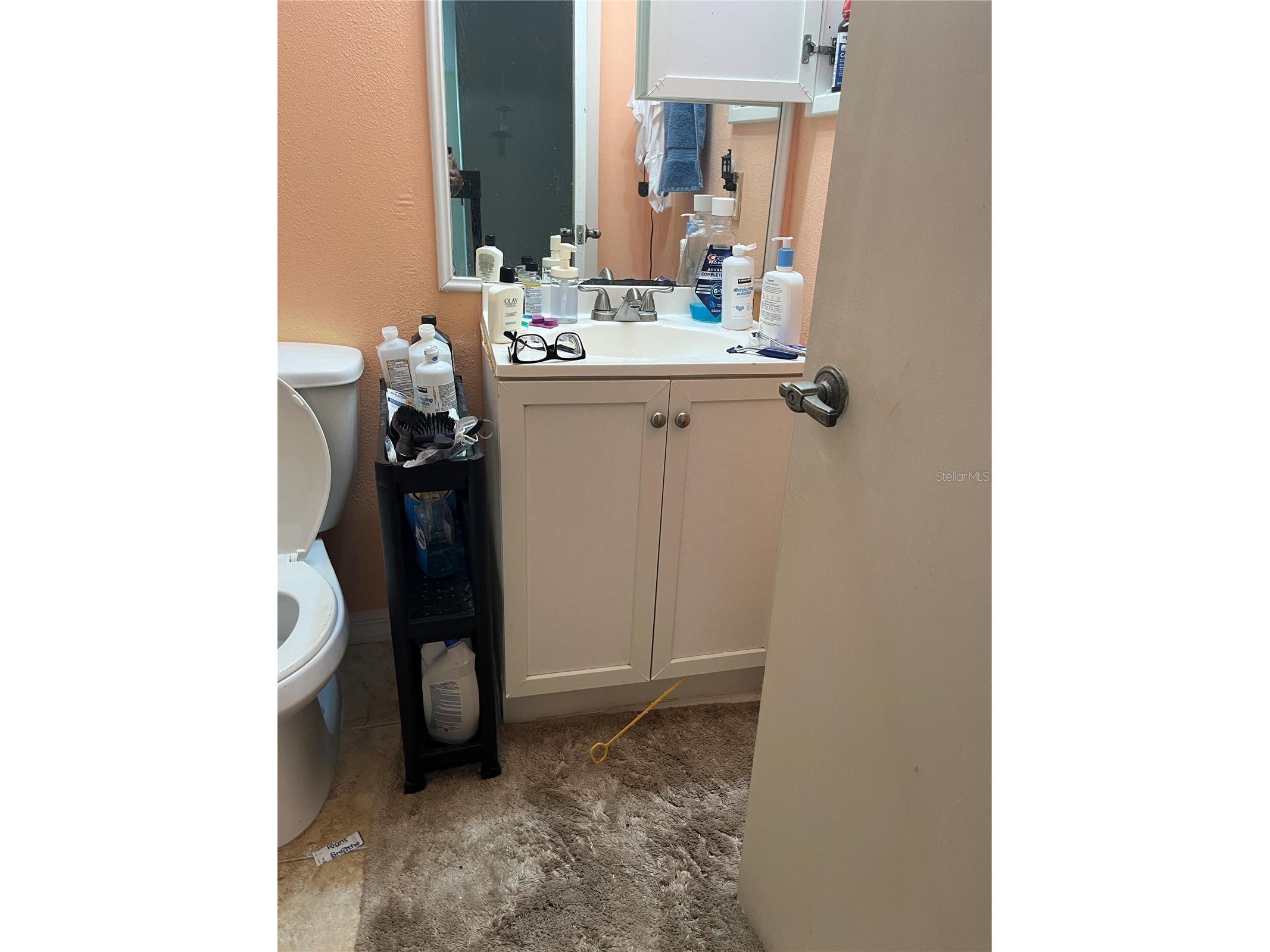 1920 Heathwood Dr Winter Park FL 32792 O6393303 image17