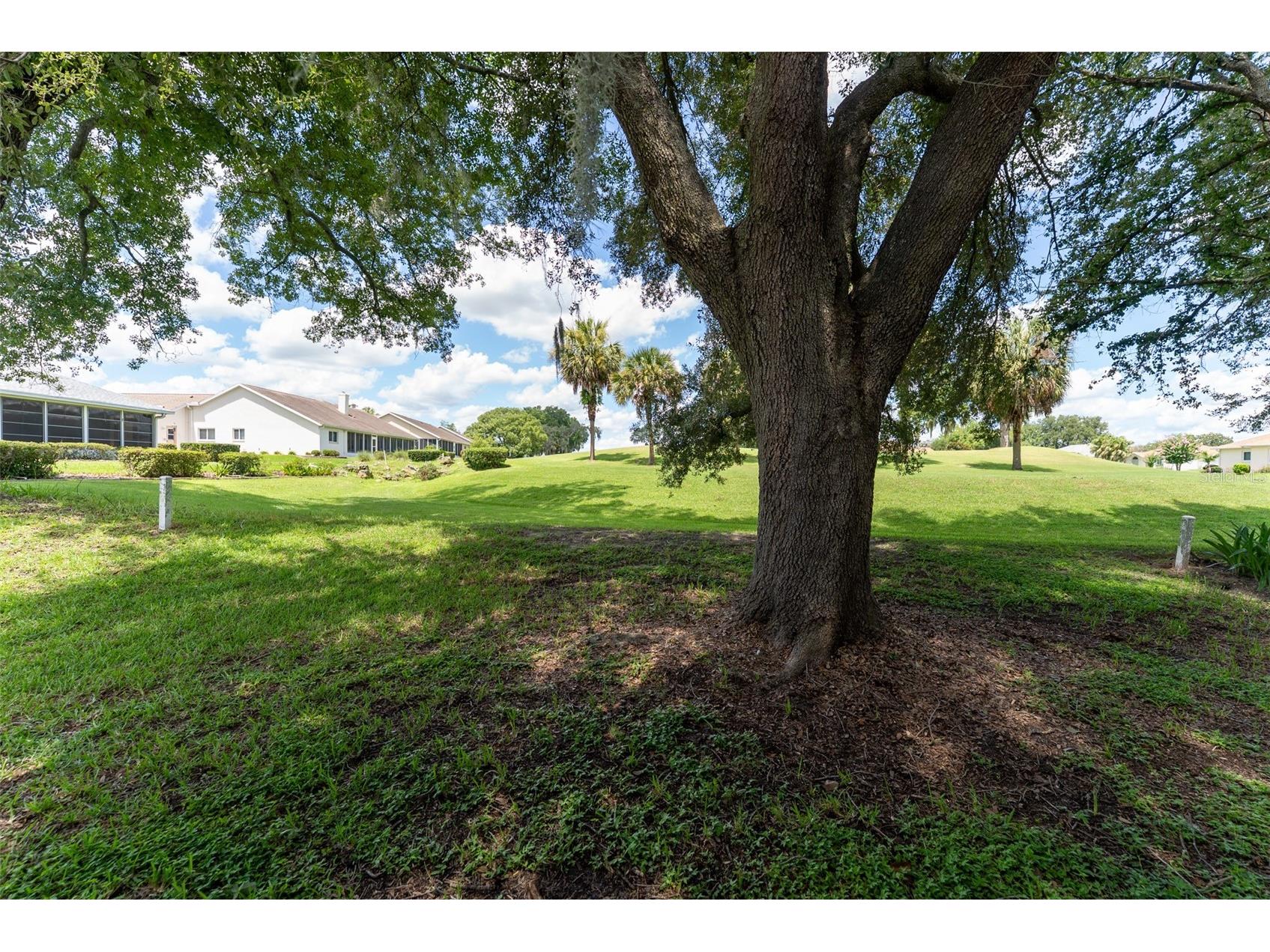 1920 NW 50th Circle Ocala FL 34482 OM705964 image5