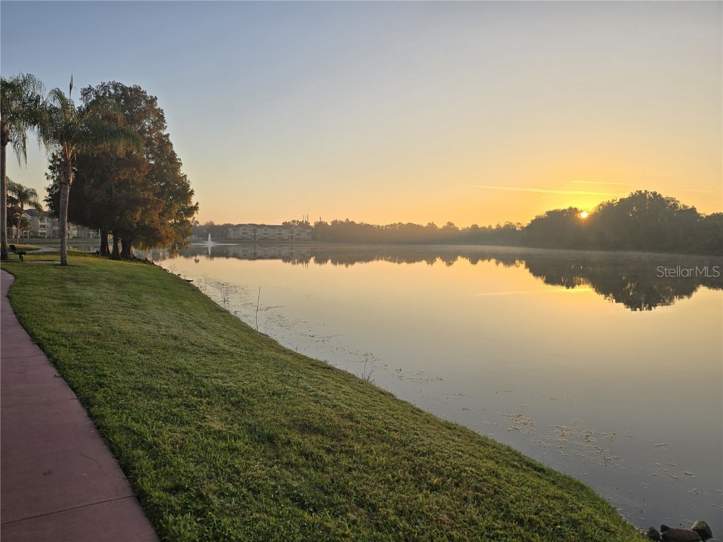 1920 Summer Club Drive #110 Oviedo FL 32765 TB8451202 image36