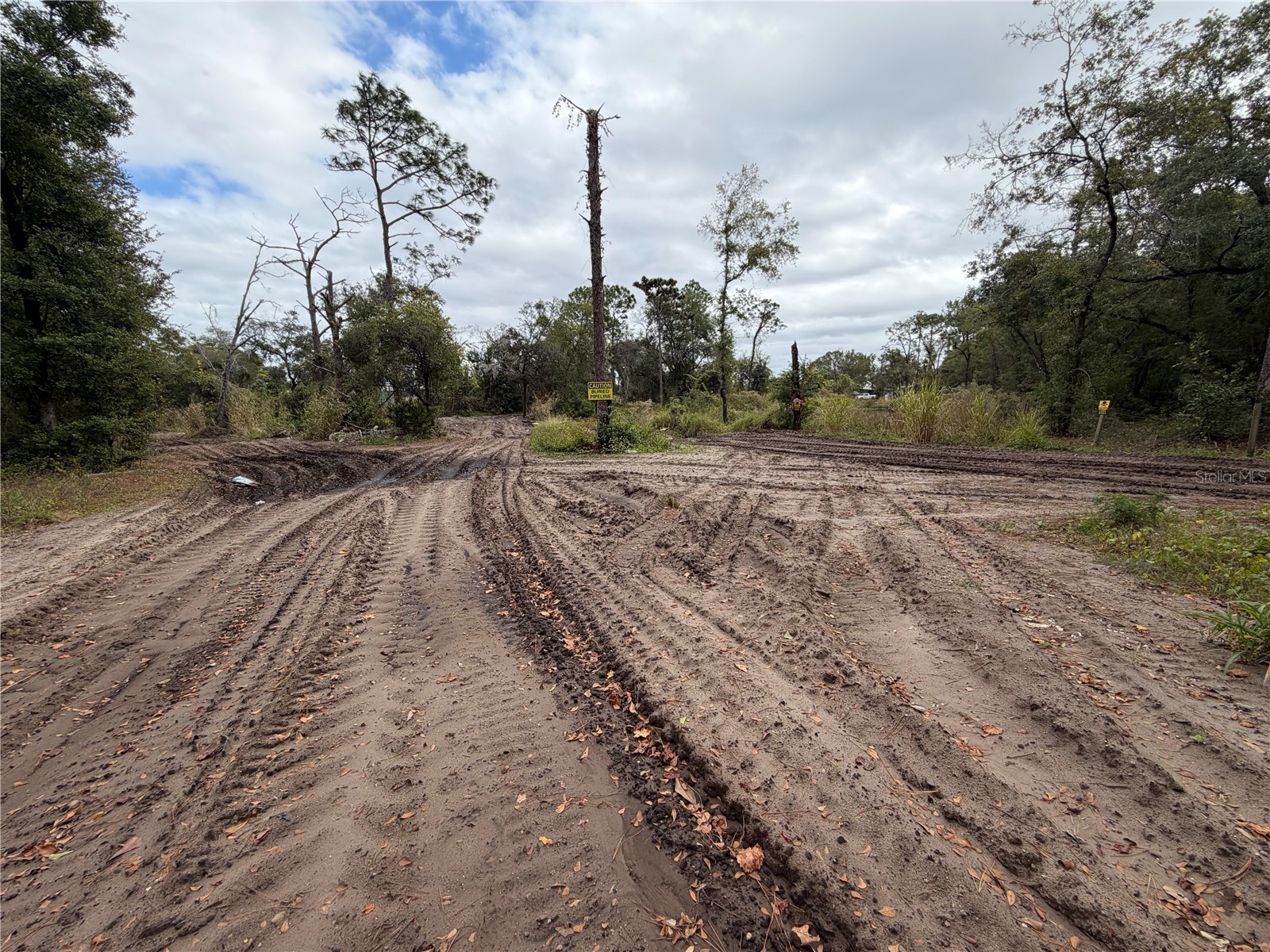 1920 Tilden Orlando FL 32807 O6372581 image5