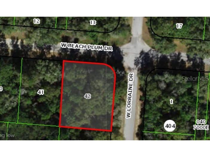 1920 W Beach Plum Drive Citrus Springs FL 34434 OM726642 image1