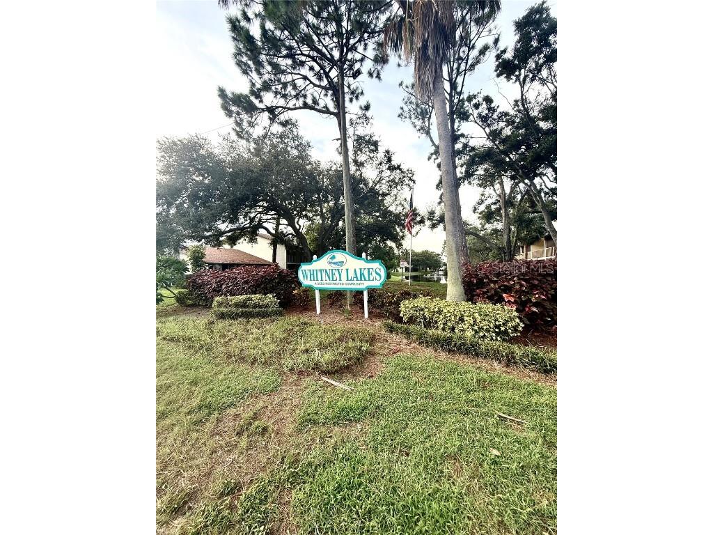 1920 Whitney Way Clearwater FL 33760 L4955866 image31