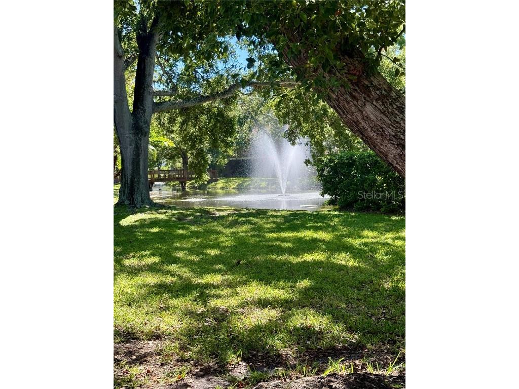 1920 Whitney Way Clearwater FL 33760 L4955866 image36