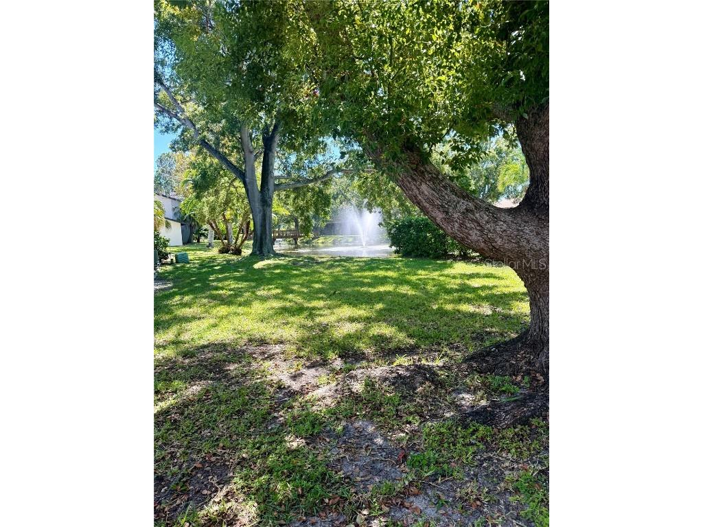 1920 Whitney Way Clearwater FL 33760 L4955866 image37