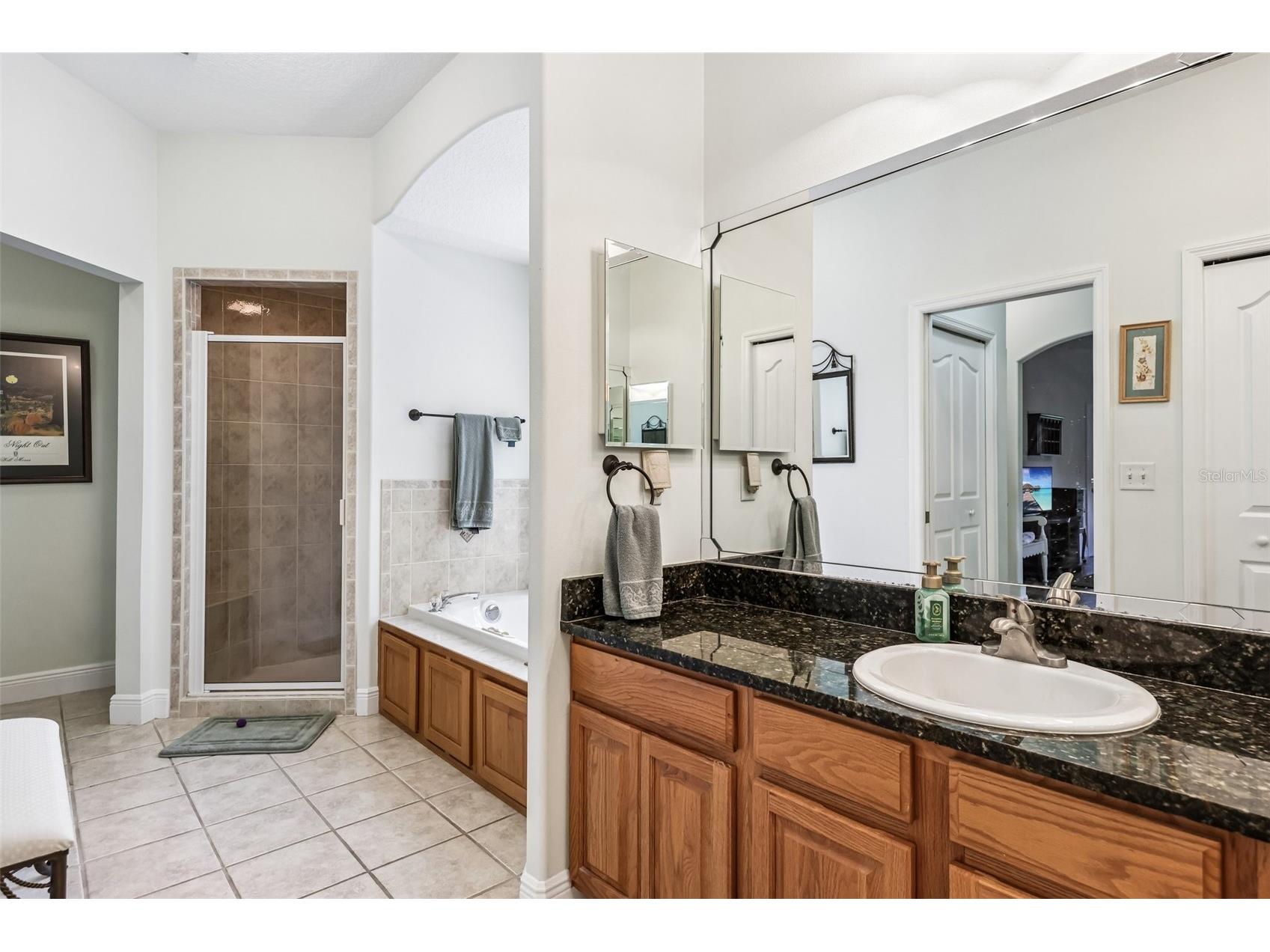 19200 Lake Swatara Drive Eustis FL 32736 G5112489 image26