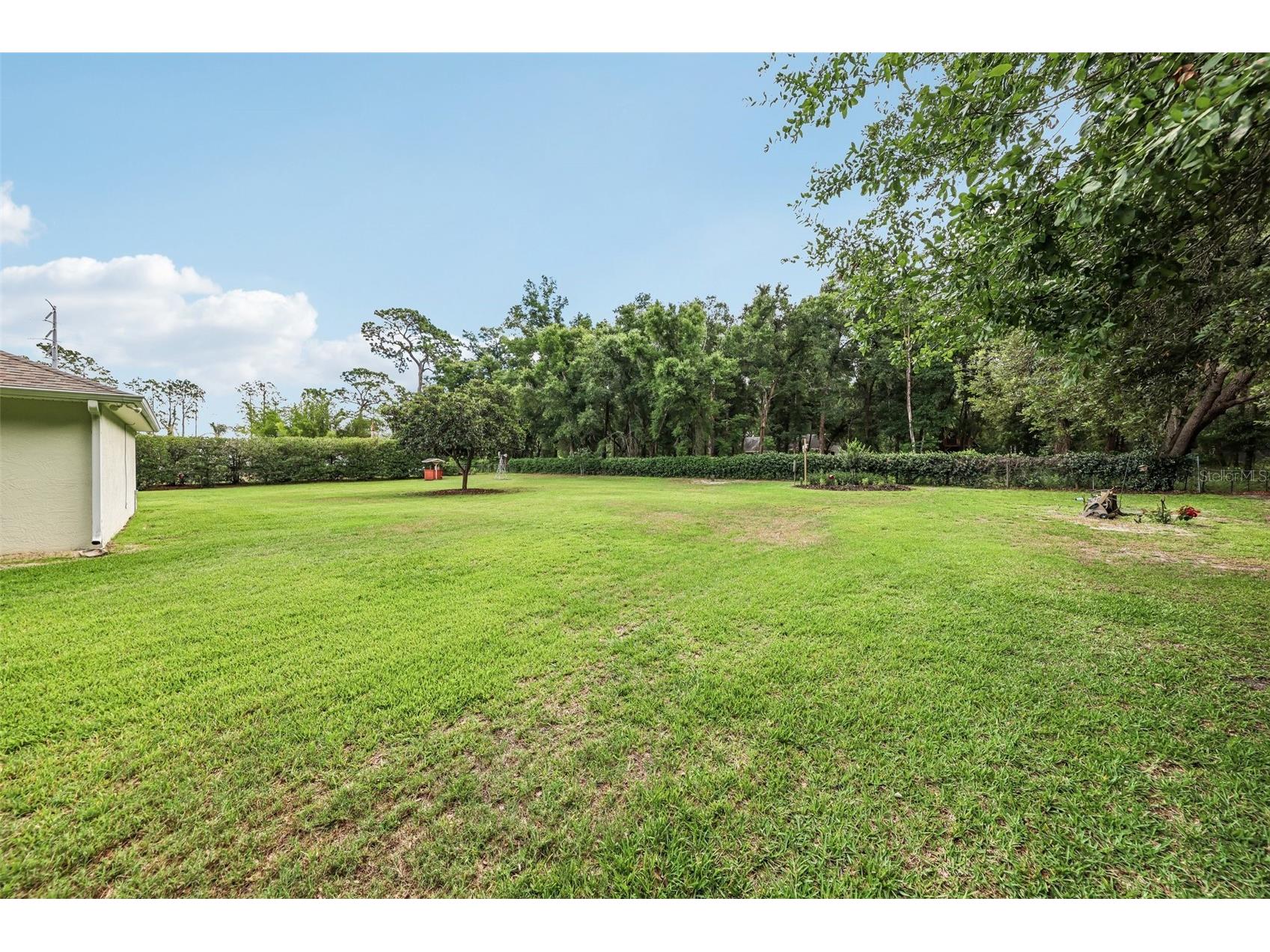 19200 Lake Swatara Drive Eustis FL 32736 G5112489 image37