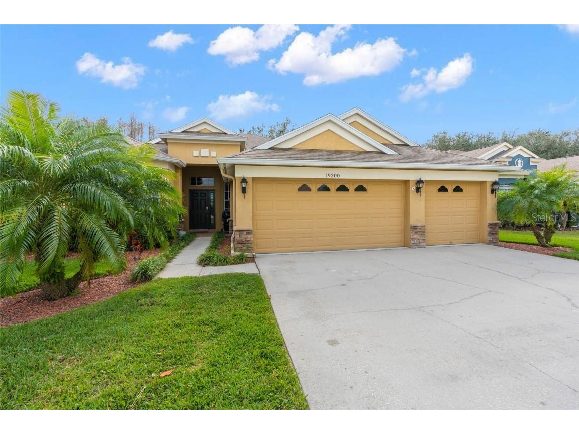 19200 Sunset Bay Drive Land O Lakes FL 34638 TB8438346 image1
