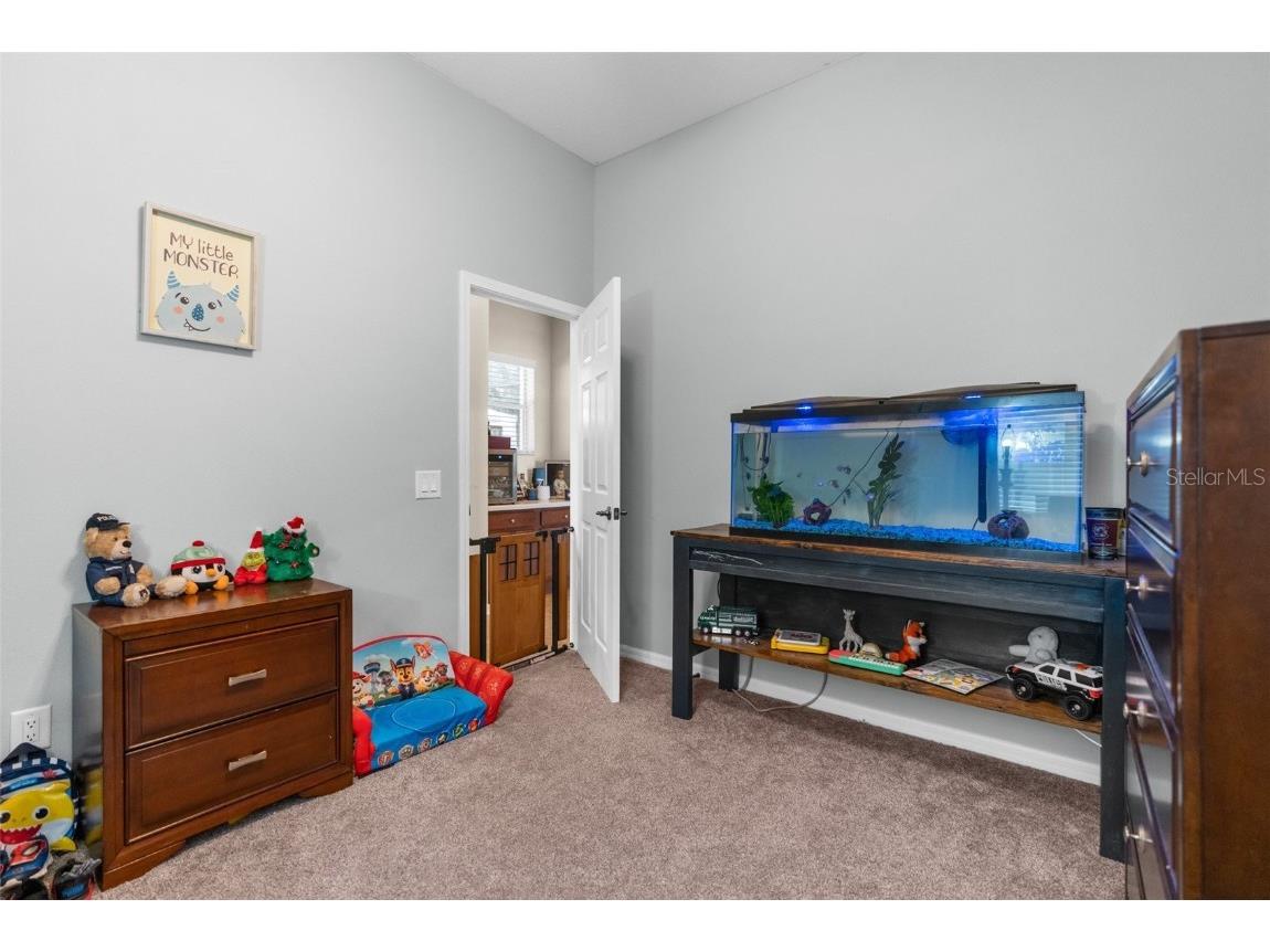 19200 Sunset Bay Drive Land O Lakes FL 34638 TB8438346 image14
