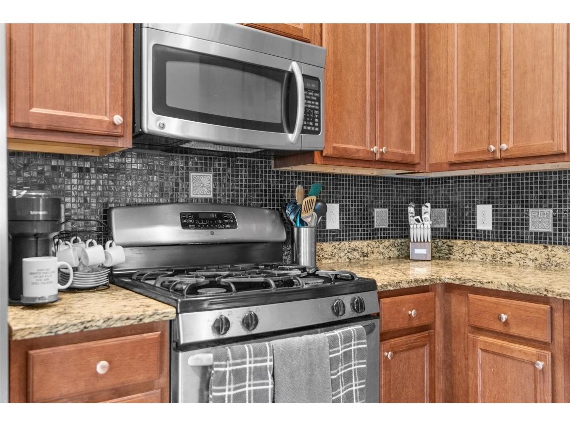 19200 Sunset Bay Drive Land O Lakes FL 34638 TB8438346 image21
