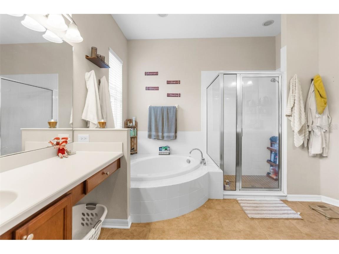 19200 Sunset Bay Drive Land O Lakes FL 34638 TB8438346 image30