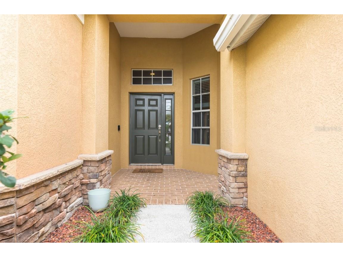 19200 Sunset Bay Drive Land O Lakes FL 34638 TB8438346 image34