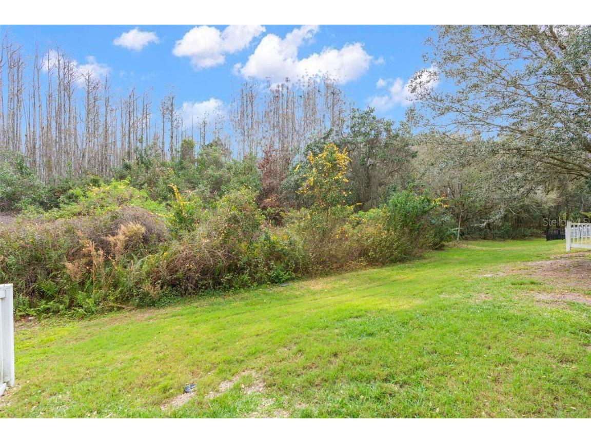 19200 Sunset Bay Drive Land O Lakes FL 34638 TB8438346 image37