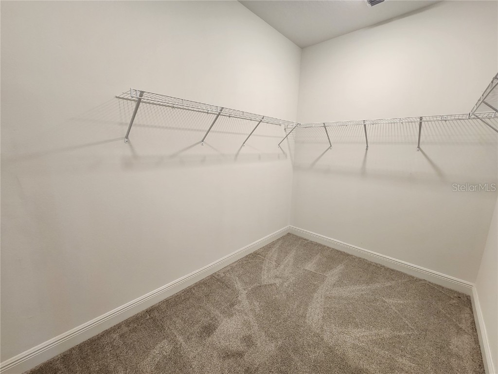 19203 Allium Place Orlando FL 32827 S5138530 image13