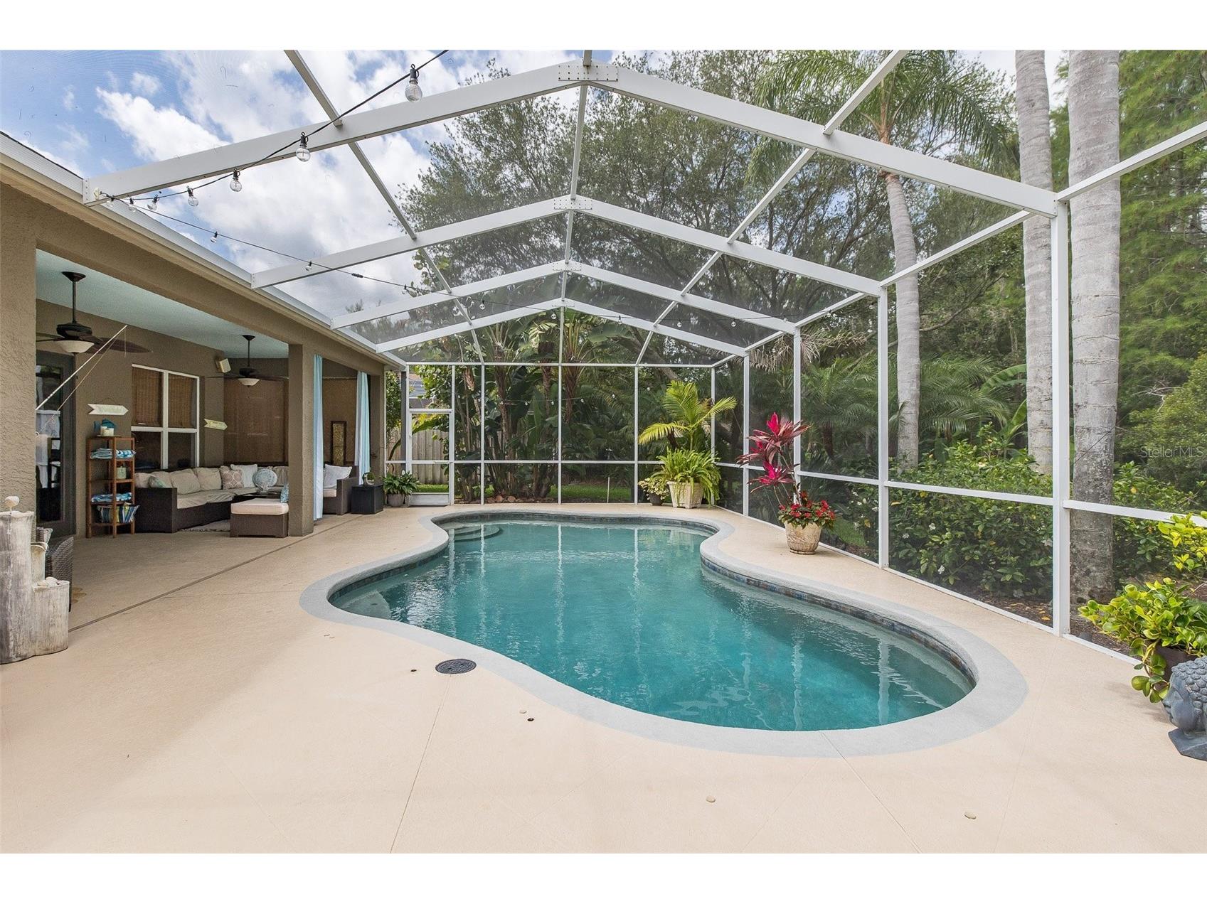 19204 Pristine Place Lutz FL 33558 TB8507690 image33