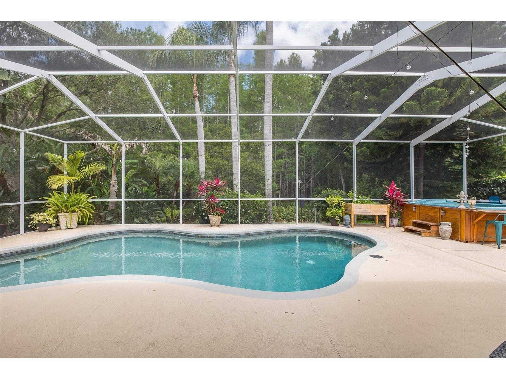 19204 Pristine Place Lutz FL 33558 TB8507690 image35