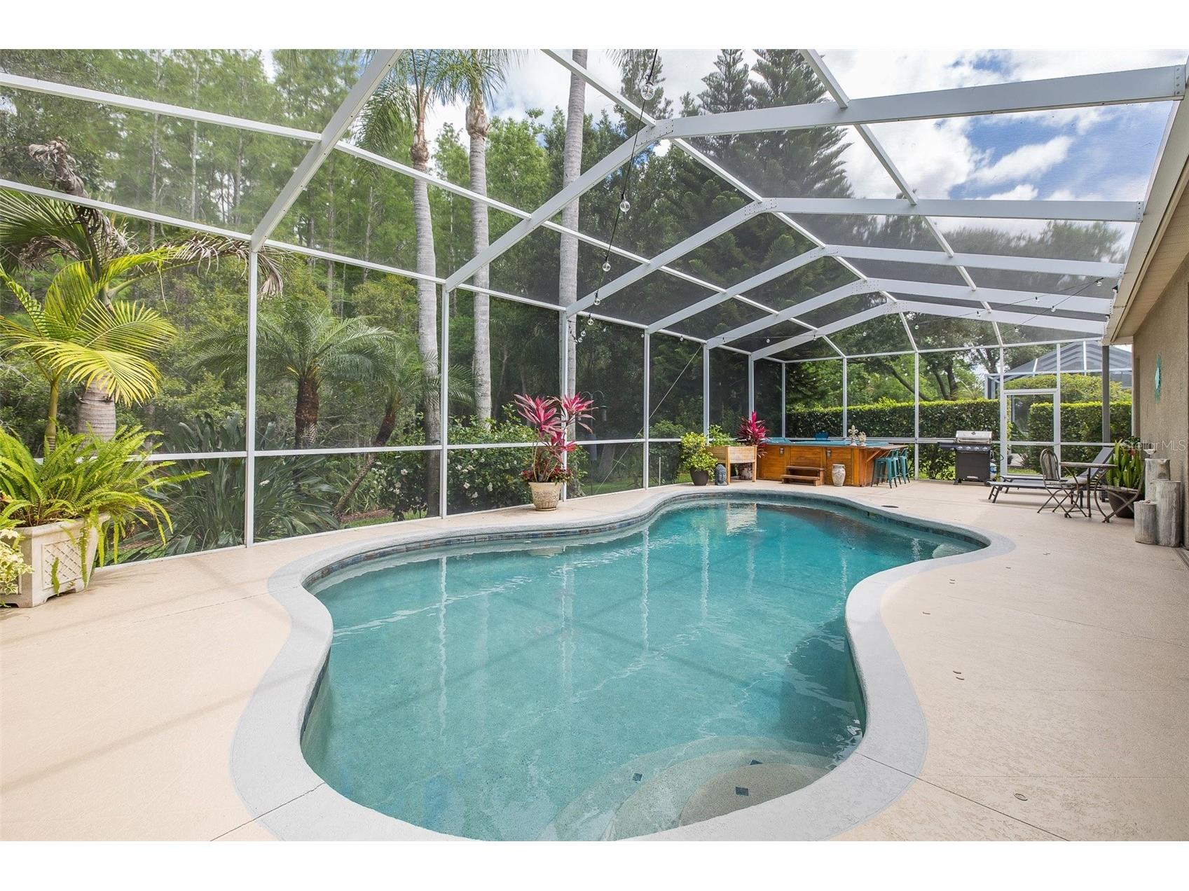 19204 Pristine Place Lutz FL 33558 TB8507690 image36