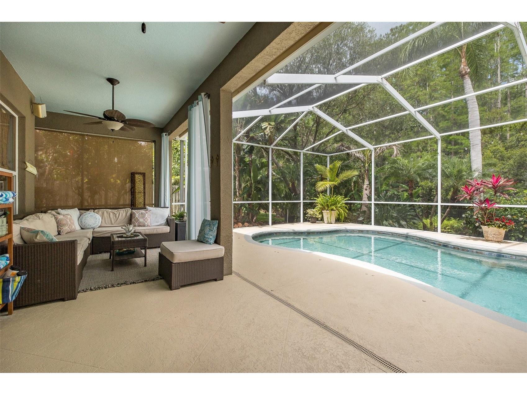 19204 Pristine Place Lutz FL 33558 TB8507690 image38
