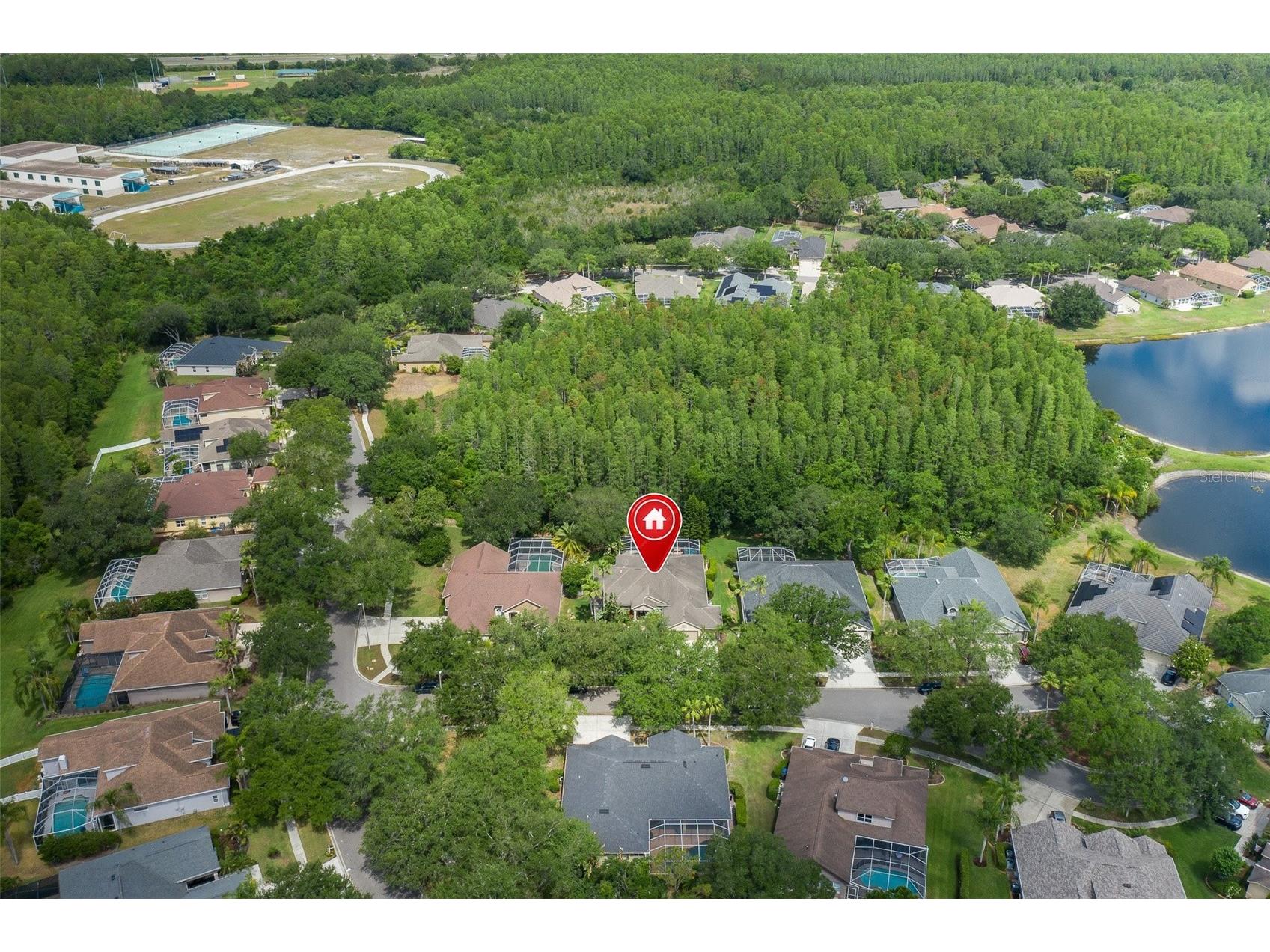 19204 Pristine Place Lutz FL 33558 TB8507690 image41