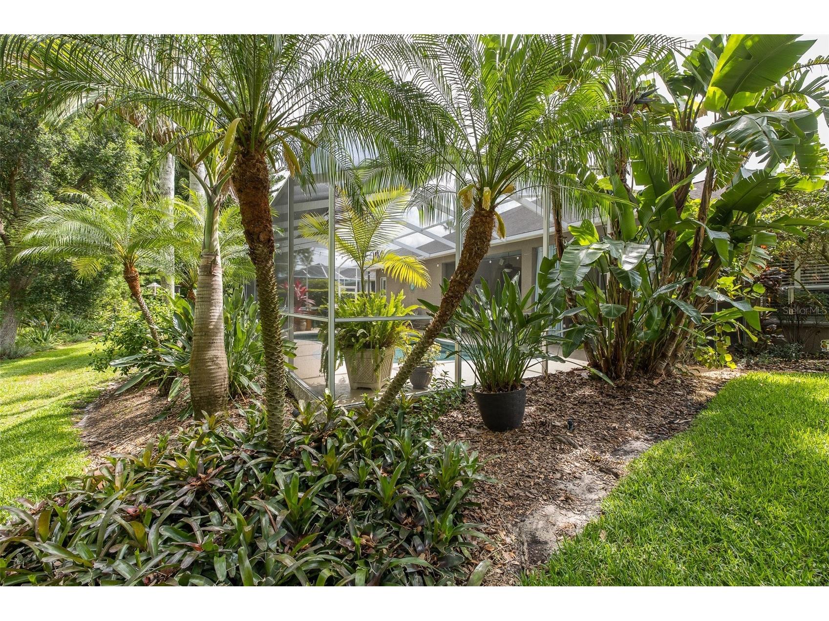 19204 Pristine Place Lutz FL 33558 TB8507690 image45