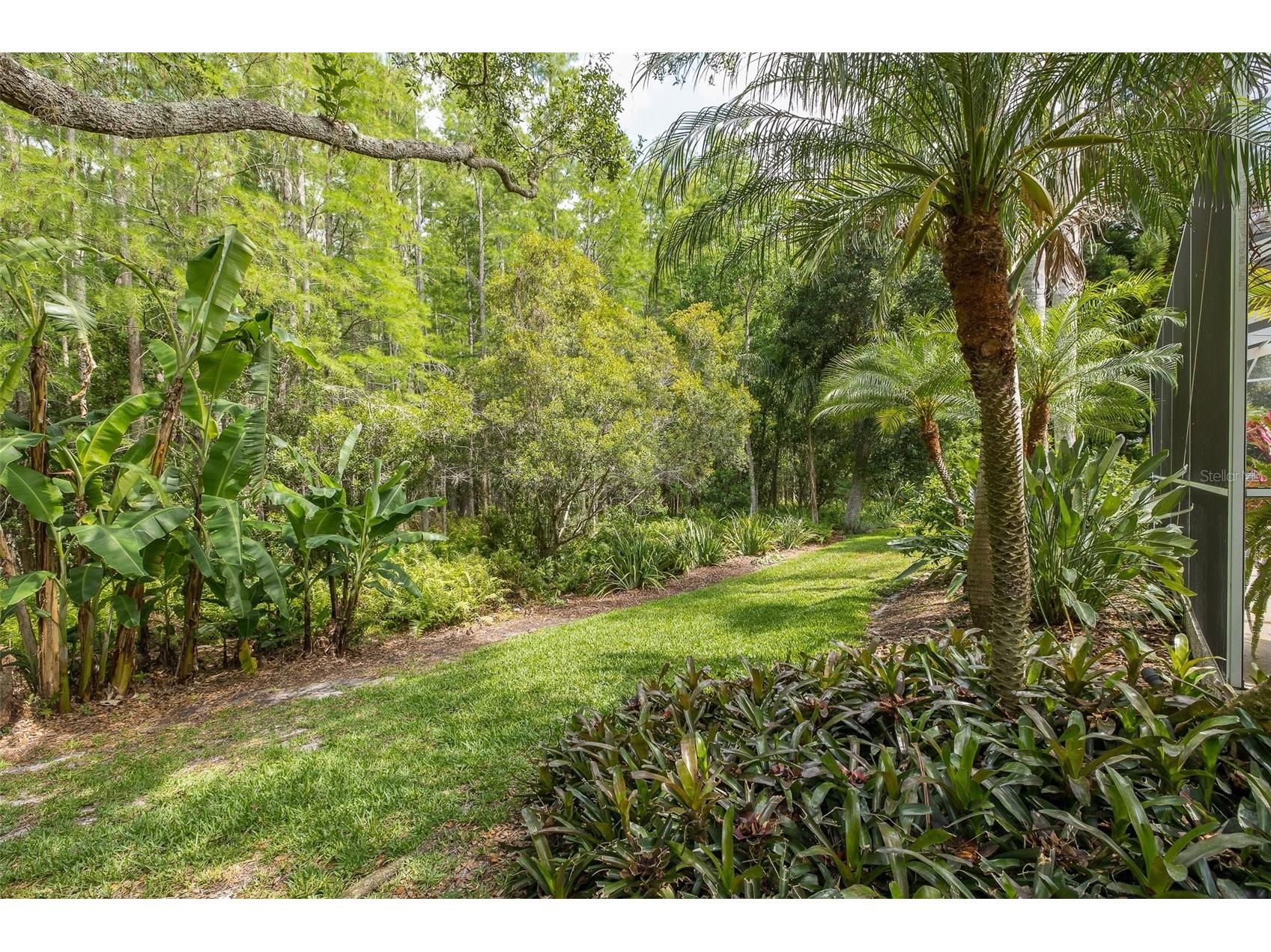 19204 Pristine Place Lutz FL 33558 TB8507690 image46