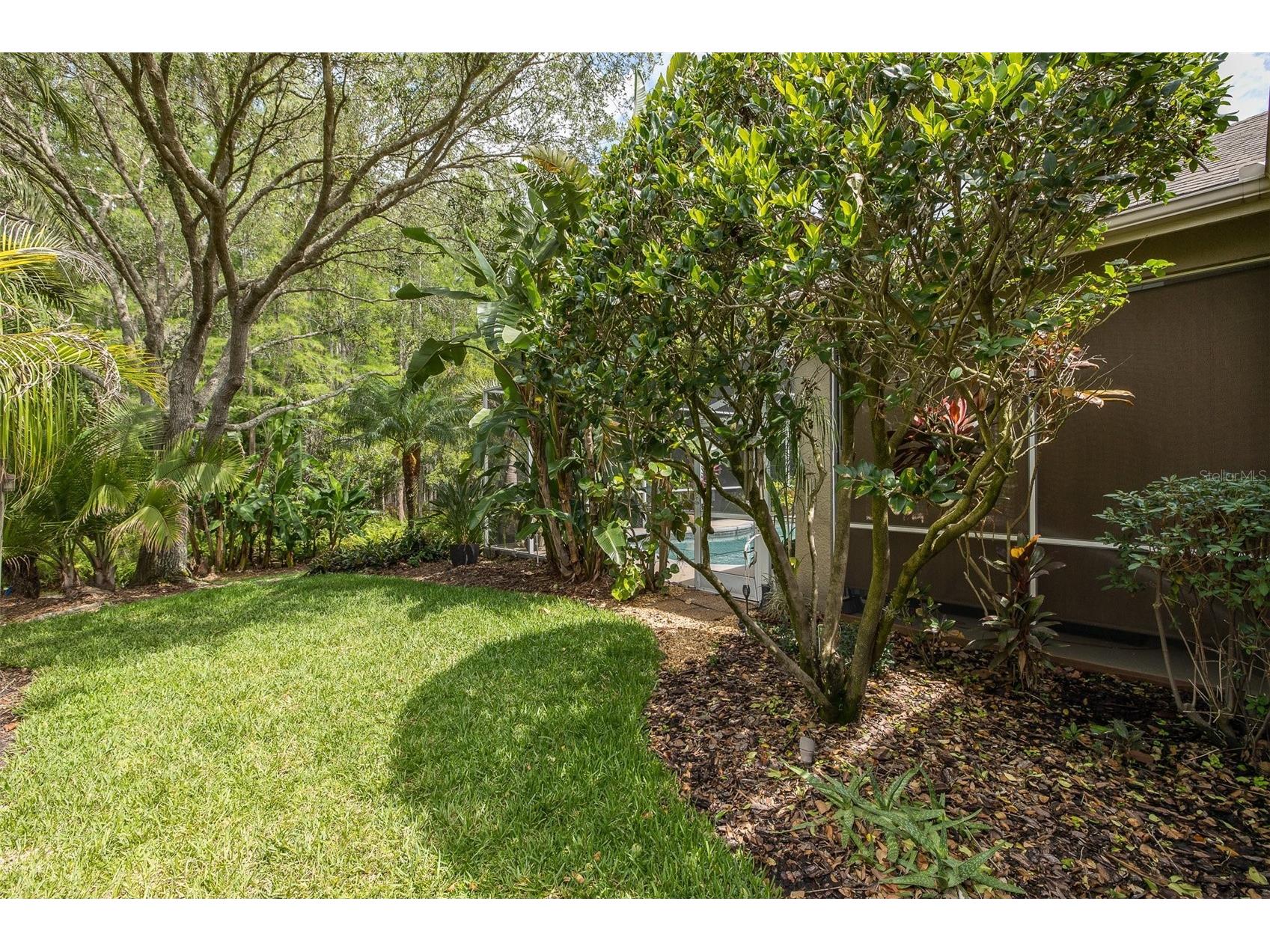 19204 Pristine Place Lutz FL 33558 TB8507690 image47