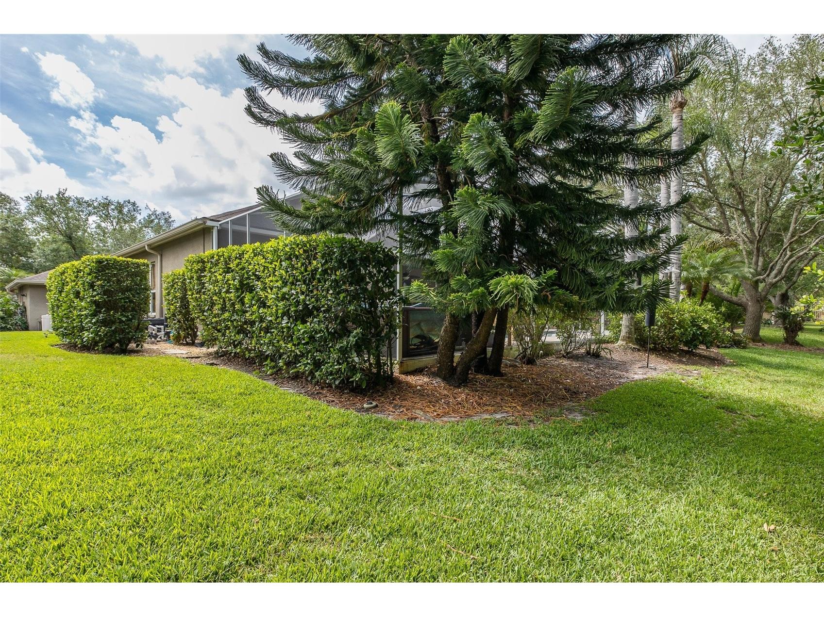 19204 Pristine Place Lutz FL 33558 TB8507690 image50