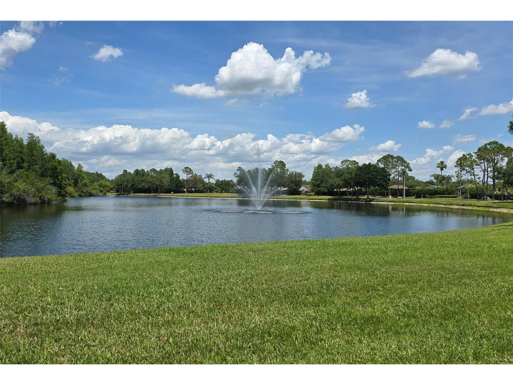 19204 Pristine Place Lutz FL 33558 TB8507690 image51
