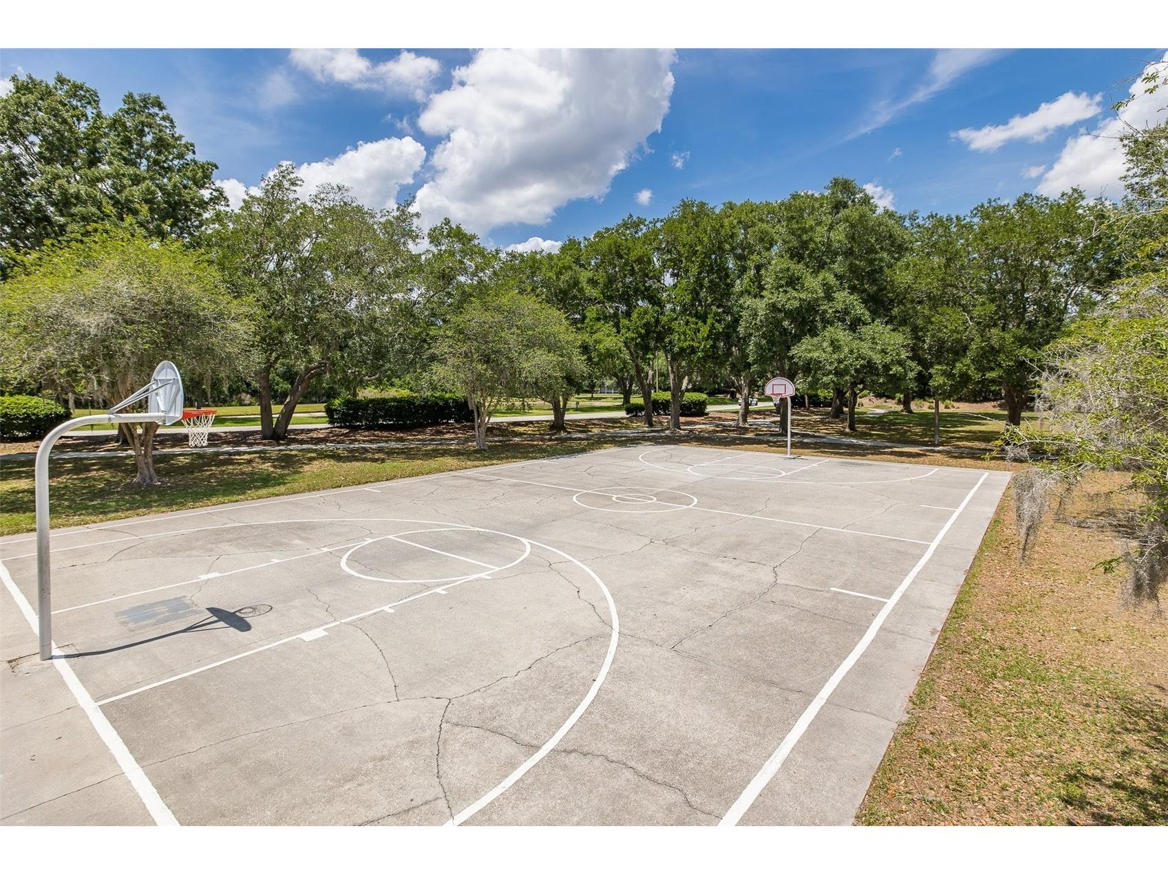 19204 Pristine Place Lutz FL 33558 TB8507690 image54