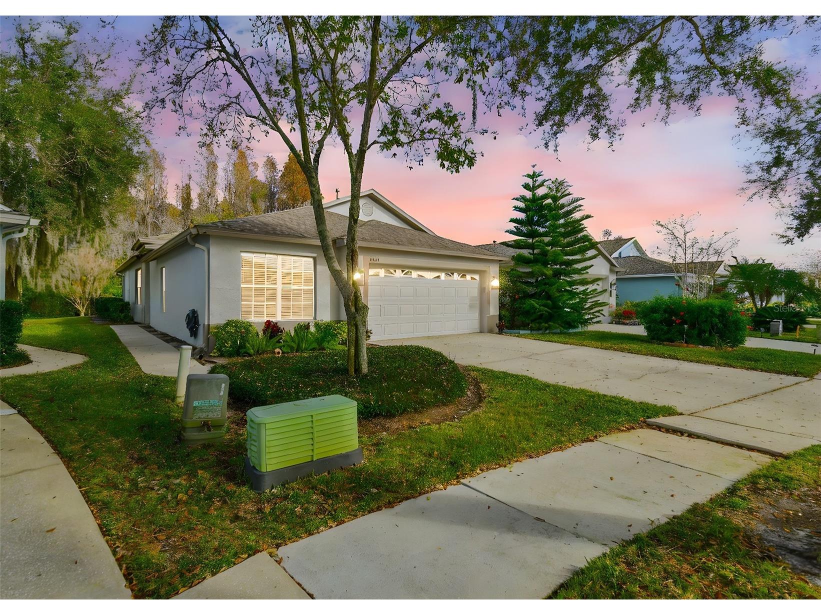 19204 Weymouth Drive Land O Lakes FL 34638 TB8460702 image1