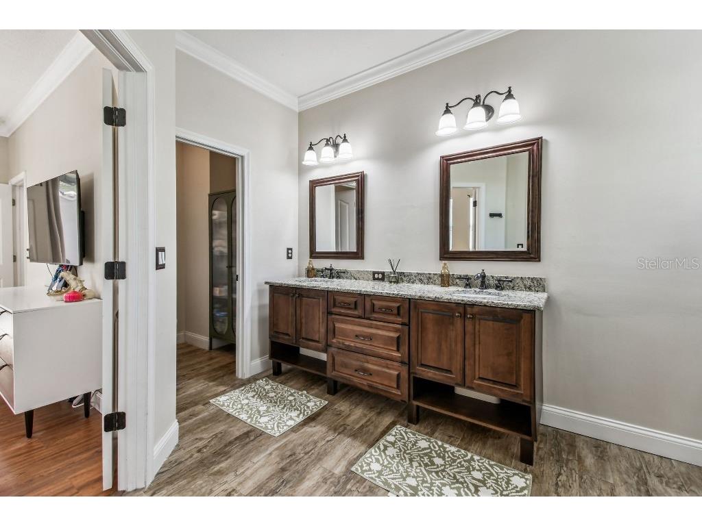 19204 Wind Dancer Street Lutz FL 33558 TB8442776 image14