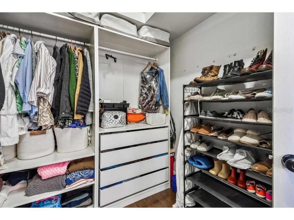 19204 Wind Dancer Street Lutz FL 33558 TB8442776 image15