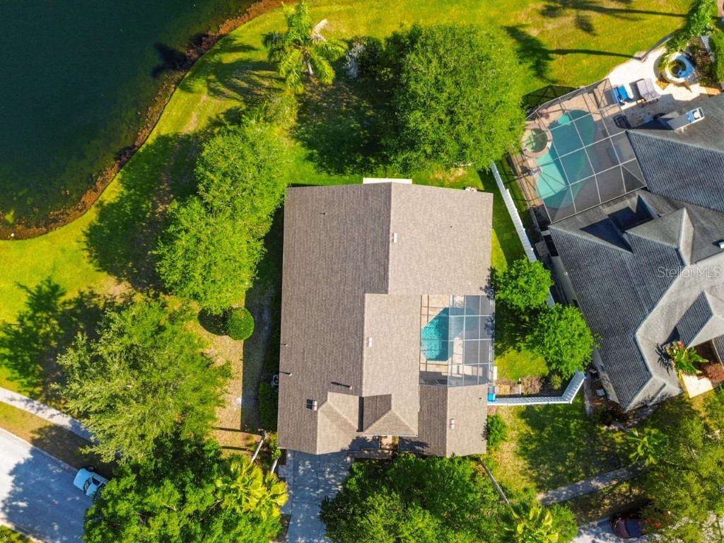 19204 Wind Dancer Street Lutz FL 33558 TB8442776 image25