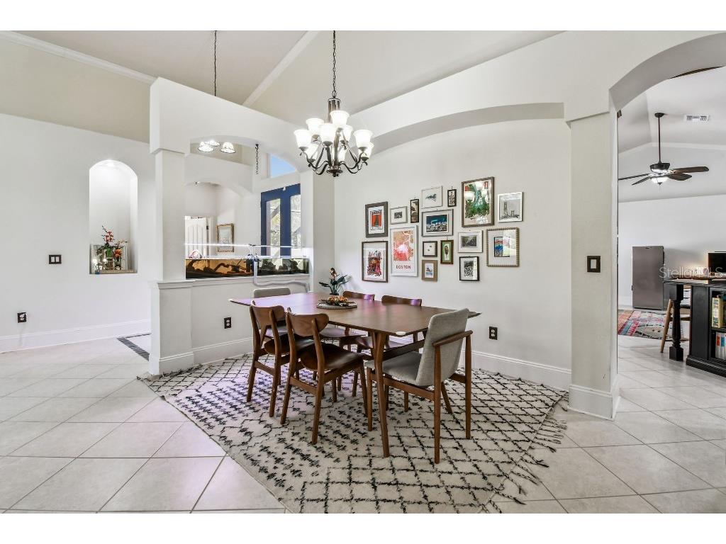 19204 Wind Dancer Street Lutz FL 33558 TB8442776 image5