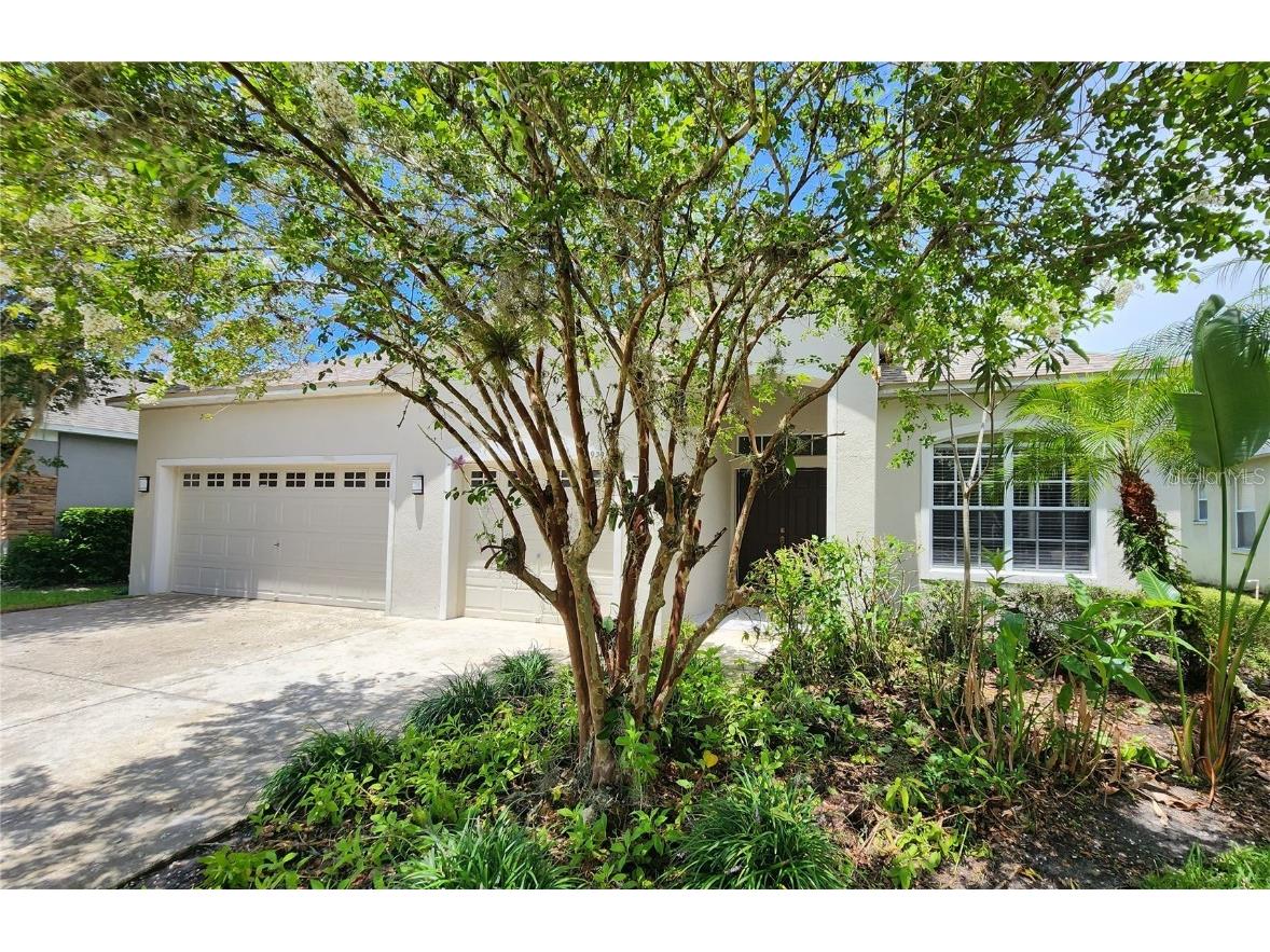 19205 Meadow Pine Drive Tampa FL 33647 O6125592 image1