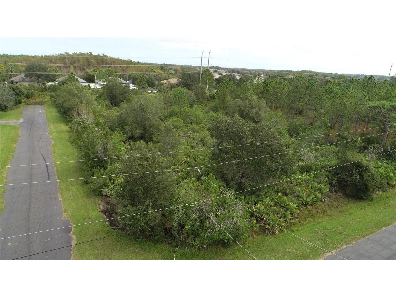 19205 Nutmeg Street Orlando FL 32833 O6135335 image1
