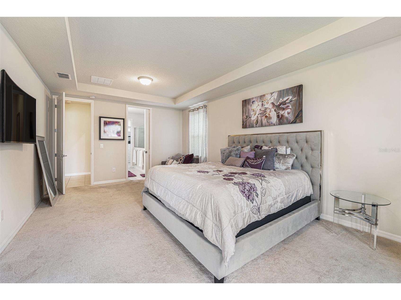 19206 Briarbrook Drive Tampa FL 33647 TB8455309 image13