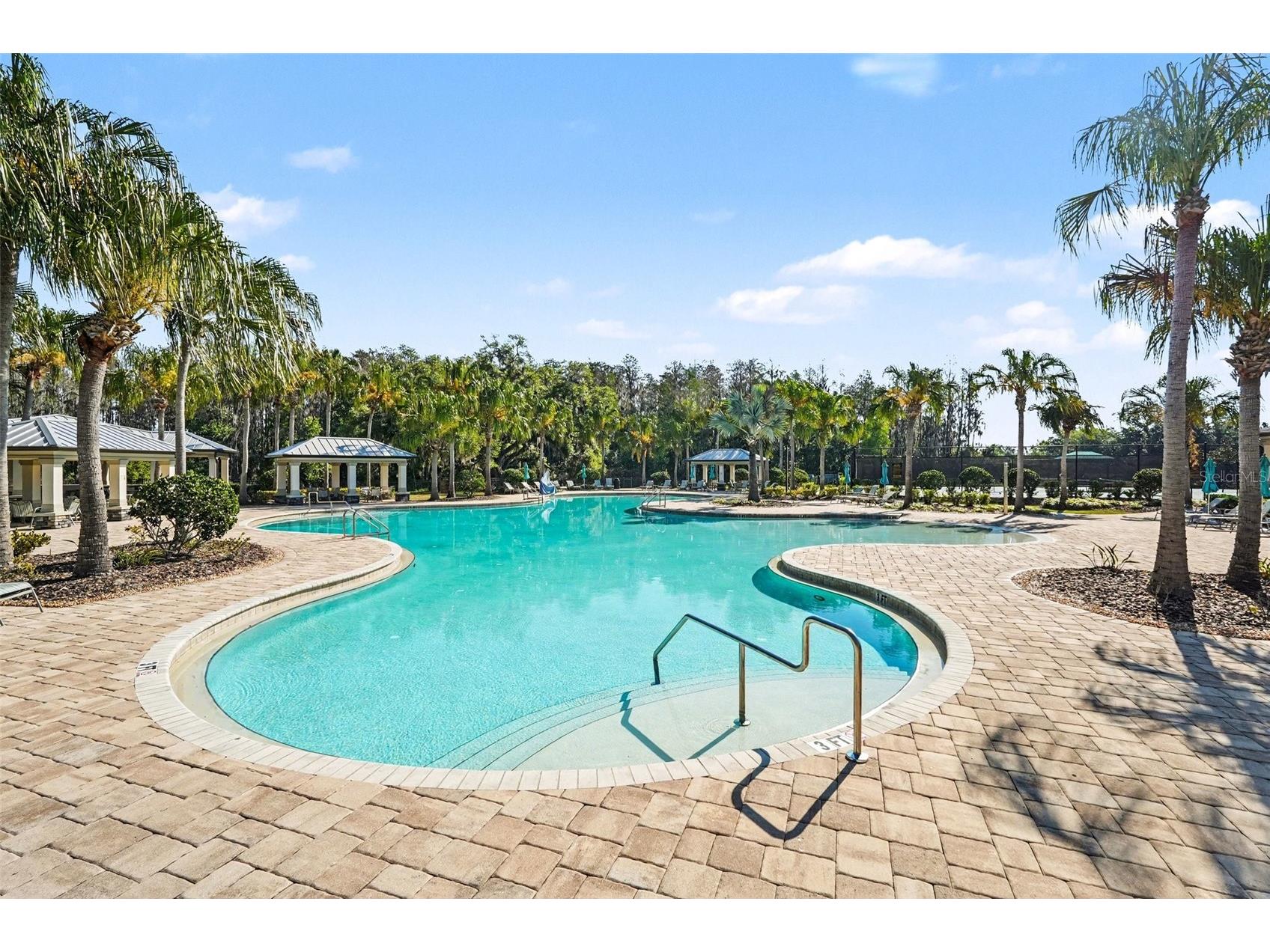 19206 Briarbrook Drive Tampa FL 33647 TB8455309 image22