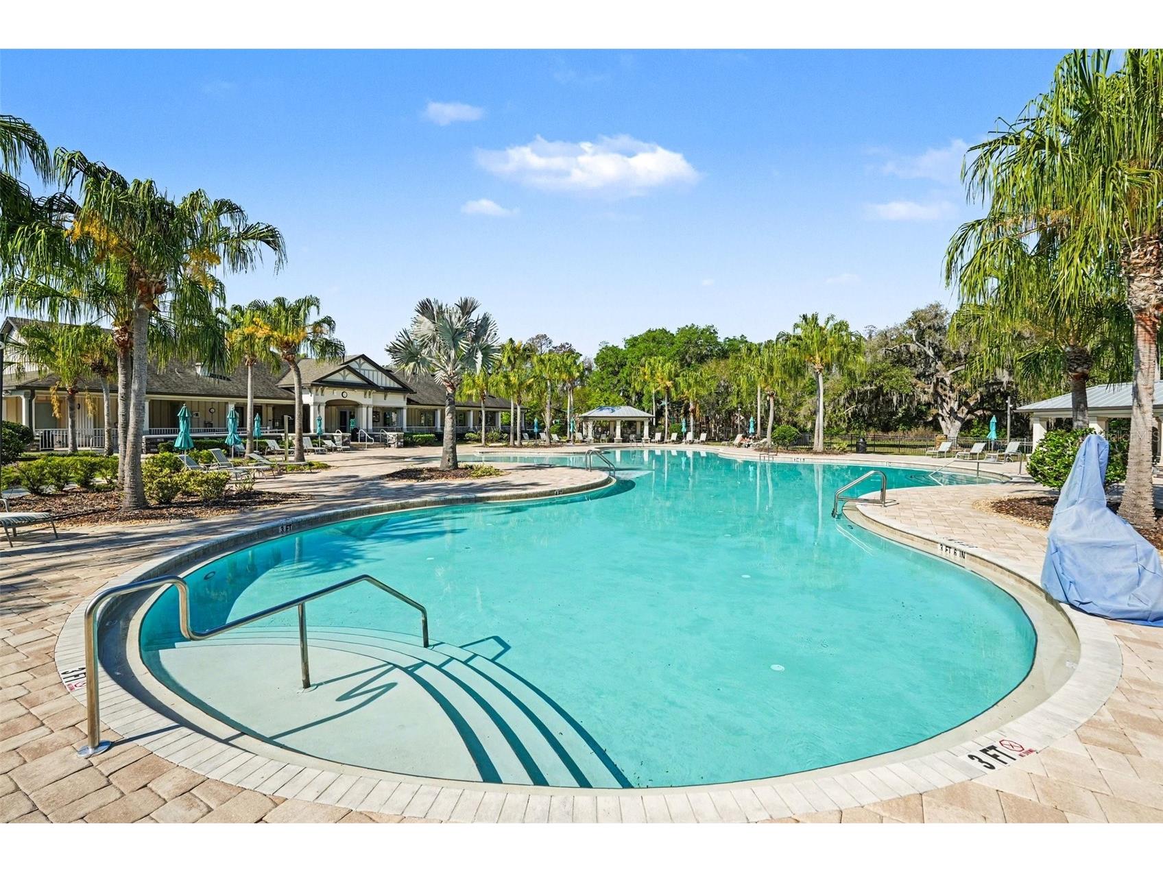19206 Briarbrook Drive Tampa FL 33647 TB8455309 image23