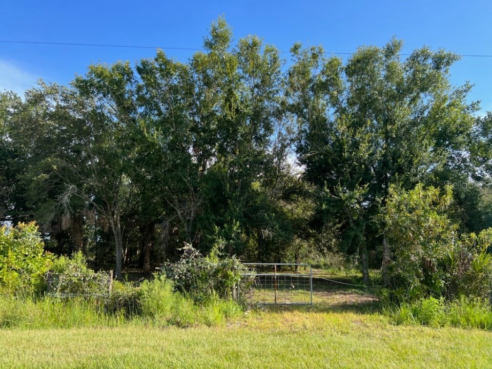 19206 NW 258th Street Okeechobee FL 34972 OK223068 image1