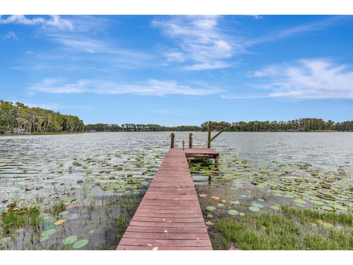 19207 Crooked Lane Lutz FL 33548 - LAKE HOBBS TB8438183 image45