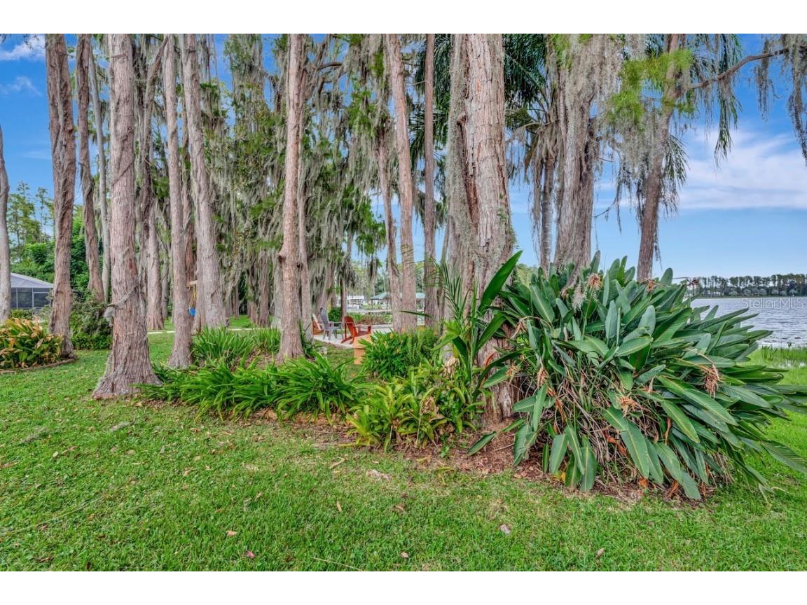 19207 Crooked Lane Lutz FL 33548 - LAKE HOBBS TB8438183 image51